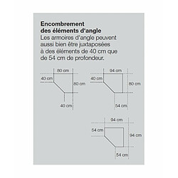 Avis Inside 75 Armoire de rangement d'angle LUND 1 porte chêne naturel 80 x 80 cm