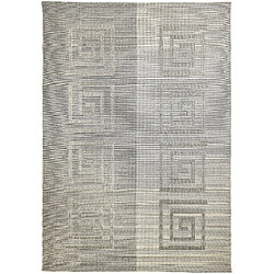 Hadorn Tapis d'intérieur/d'extérieur 290x200 gris Limited Edition 