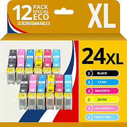 123CONSOMMABLES - 24XL - Cartouches d'encre Compatible pour Epson Expression Home XP-850 XP-750 XP-950 XP-55 XP-860 XP-760 XP-960 (2 BK / 2 C / 2 M / 2 Y / 2PC / 2PM) 