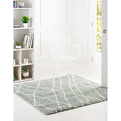 Acheter Hadorn Tapis shaggy 125x125 Vert Lachen Fence