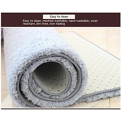 LUUCOZK Tapis moelleux en fausse fourrure Tapis à poils longs pour chambre à coucher Salon-Café-40x60cm pas cher