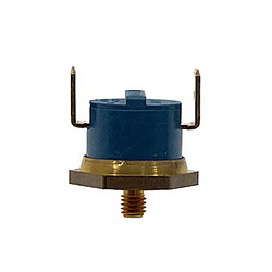 Thermostat 100° Thermostat 100° pour PIECES ENTRETIEN DU LINGE PETIT ELECTROMENAGER - E021