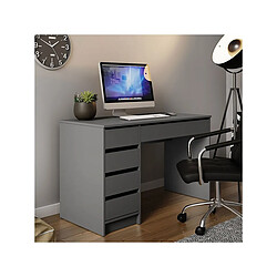 Habitat Et Jardin Bureau Ada - 120 x 75 x 55 cm - Gris