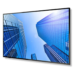 Écran NEC 60005048 43" 4K Ultra HD LED 43" IPS 50-60 Hz