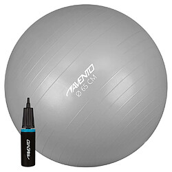 Avento Ballon de fitness/d'exercice avec pompe Diamètre 65 cm Argenté