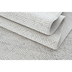 Hadorn Tapis 305x80 gris clair Davos Cilia pas cher