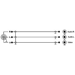 Audio/vidéo Câble, InLine®, 3,5mm 4pin prise sur 3x Cinch pour caméra vidéo digitale, 1,5m