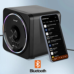 Acheter LinQ Enceinte PC Bluetooth avec Prise Jack 3.5mm + USB - Port Micro SD Noir