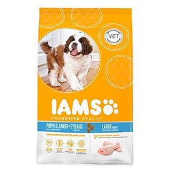 Iams Chien Puppy Large Poulet