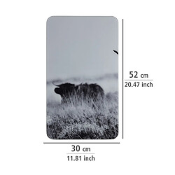 WENKO Lot de 2 Plaques de protection universelle en verre trempé Highland Cattle - Longueur 52 cm x Largeur 30 cm