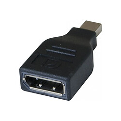 Abi Diffusion Adaptateur bidirectionnel Mini DisplayPort mâle / DisplayPort femelle