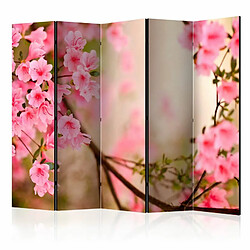 Paris Prix Paravent 5 Volets Pink Azalea 172x225cm 