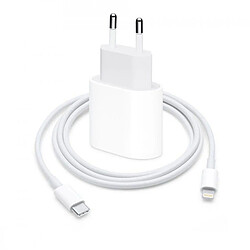 Chargeur Secteur USB-C 20W + Câble Lightning Power Delivery Original Apple Blanc