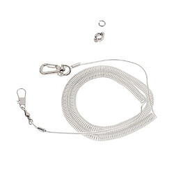 Acheter Élastique Parrot Pied Chaîne Pet Training Corde De 5m Et Taille 8 Anklet Anneau