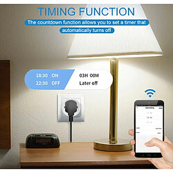 Riff RF-16A Prise intelligente 16A avec WiFi et bouton marche/arrêt Blanc