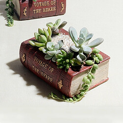 Wewoo Pot de fleur pour Succulent Cactus Herbes Plante Lit Case Box FlowerPot, Taille: 10.5 * 8 * 5 cm Retro Literature Book Pots Vintage Livre Jardinière 