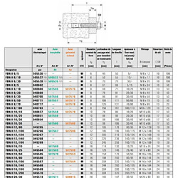 Avis Goujon dancrage Fischer FBN II acier électrozingué 40783