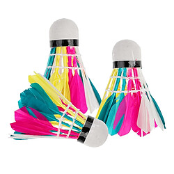 Wewoo Badminton coloré 3 en 1adapté au divertissement à domicile