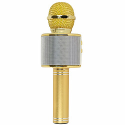 Microphone de chant