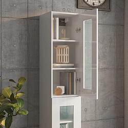 Avis vidaXL Armoire murale suspendue Blanc brillant 34,5x34x90 cm