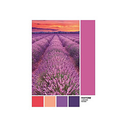 PUZZLE Pantone 1000 pieces - Vivid Viola