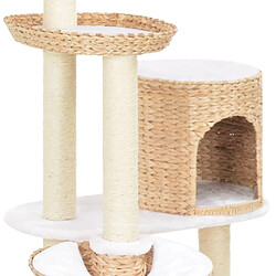 Acheter Arbre à chat avec griffoirs,niche pour chat en sisal Herbiers marins -MN29799