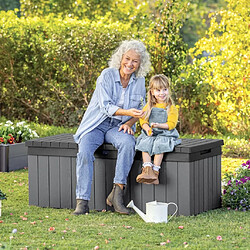 Acheter Keter Boîte de rangement de jardin Darwin 380 L Gris