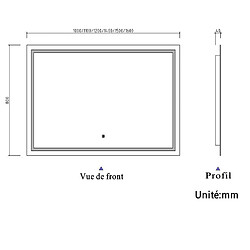 Acheter Miroir de salle de bain avec lumières Led 150x80cm (LxH)