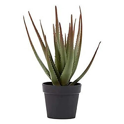 CATRAL Cactus artificiel Aloe - 81 cm