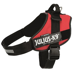 JULIUS K9 Harnais Power IDC 4-XXL : 96-138 cm - 50 mm - Rouge - Pour chien Julius K9 Harnais Power Idc 4-xxl : 96-138 Cm - 50 Mm - Rouge - Pour Chien-