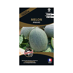 Sanrival Graines potagères premium melon Ananas