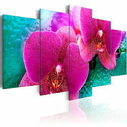 Paris Prix Tableau Imprimé Exotic Orchids 50 x 100 cm 