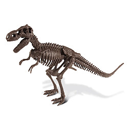 Neotilus Kit excavation : Tyrannosaurus Rex