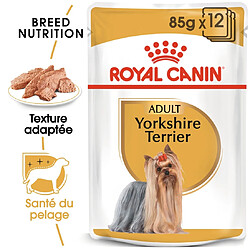 Royal Canin Breed Health Nutrition Yorkshire Terrier Adulte Sachets