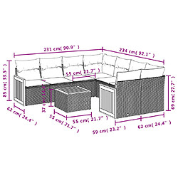 Avis vidaXL Salon de jardin avec coussins 9 pcs beige résine tressée