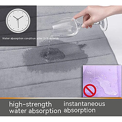 Avis LUUCOZK Tapis de bain antidérapants, absorbants, à séchage rapide, décoration de salle de bain, gris clair-50x80CM