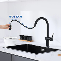 AURALUM MAX Mitigeur Cuisine Douchette Extractible,Robinet Evier avec 2 Fonctions,Robinet Cuisine Noir Pivotant à 360°,Mitigeur Evier Moderne