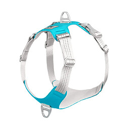 Universal Entraînement pour chiens de compagnie cellulaire pour chiens de compagnie Ceinture thoracique réfléchissante Gilet de protection extérieure réglable pour petits et grands chiens | Harnais (bleu)