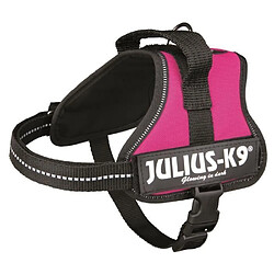 Julius K9 Harnais Power Julius-K9 - Mini-Mini - S : 40-53 cm-22 mm - Fuchsia - Pour chien Harnais Power Julius-k9 - Mini-mini - S : 40-53 Cm-22 Mm - Fuchsia - Pour Chien-