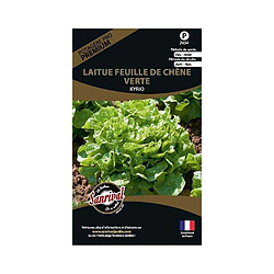 Sanrival Graines potagères premium laitue Feuille de chêne verte Kyrio