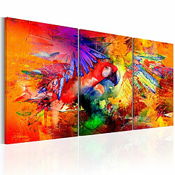 Paris Prix Tableau Imprimé Colourful Parrot 30 x 60 cm 