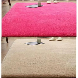 LUUCOZK Tapis moelleux en fausse fourrure, tapis à poils longs pour chambre à coucher, salon, rose-50x80 cm