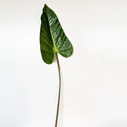 WELLHOME Feuille d'anthurium artificiel 89 cm 