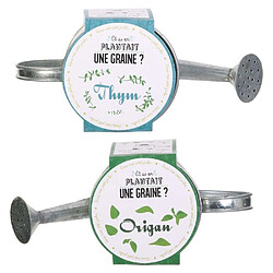 The Home Deco Factory Graines à planter aromates avec arrosoirs (Lot de 2).