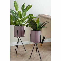 Avis Present Time Duo de Cache-pot Pedestal XL - Violet