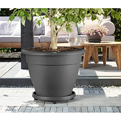 Support de pot à roulettes - planttaxi universel - 40 cm - Gris - ELHO