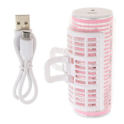 Pince à cheveux à rouleaux à double pont rechargeable USB