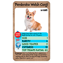 Winning Moves TOP TRUMPS - Dogs Card Game [ENG] pas cher