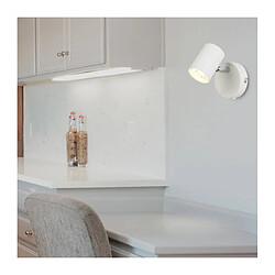 Avis Searchlight Applique Rollo, blanc