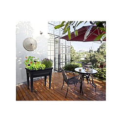 Eda Espace potager Veg et Table City Anthracite - Sans serre